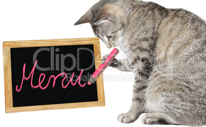 Cute cat writing on a menu board
