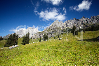 Landschaften am Hochkönig bei Mühlbach.