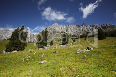 Landschaften am Hochkönig bei Mühlbach.