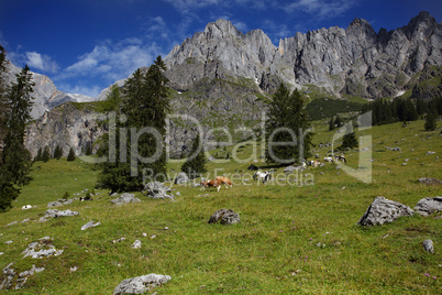 Landschaften am Hochkönig bei Mühlbach.