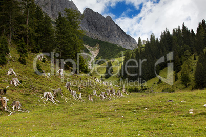 Landschaften am Hochkönig bei Mühlbach.