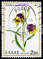 Postage stamp Greece 1978 Dwarf Lily, Flower