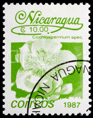 Postage stamp Nicaragua 1987 Cochlospermum Speciosa