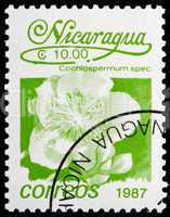 Postage stamp Nicaragua 1987 Cochlospermum Speciosa