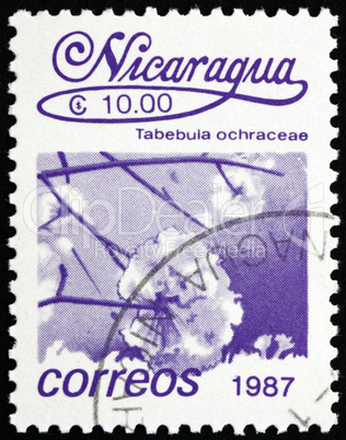 Postage stamp Nicaragua 1987 Tabebula Ochracea, Flower, Tree Postage stamp Nicaragua 1987 Tabebula Ochracea, Flower, Tree