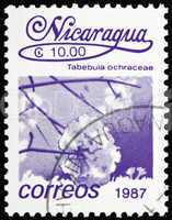 Postage stamp Nicaragua 1987 Tabebula Ochracea, Flower, Tree