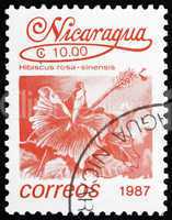 Postage stamp Nicaragua 1987 Chinese Hibiscus, Flower