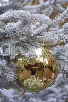 reflections in a christmas ball