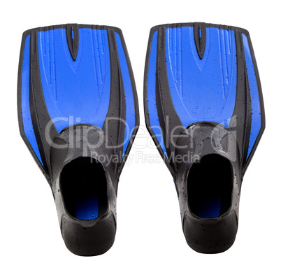 Blue swim fins