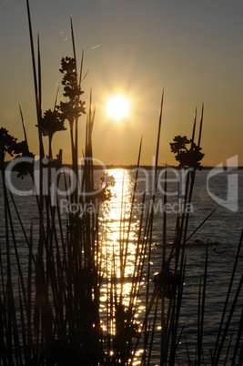 Abend am Meer