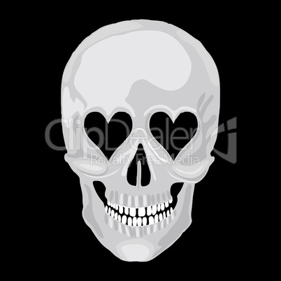 Human skull