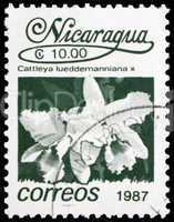 Postage stamp Nicaragua 1987 Lueddemann?s Cattleya, Orchid