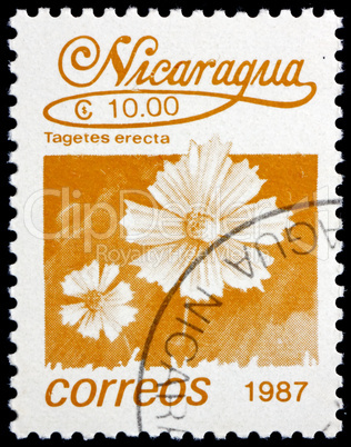 Postage stamp Nicaragua 1987 Mexican Marigold, Tagetes Erecta, F