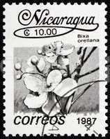 Postage stamp Nicaragua 1987 Achiote, Bixa Orellana, Flower
