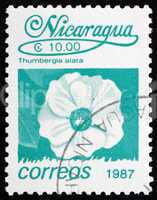 Postage stamp Nicaragua 1987 Black-eyed Susan Vine, Flower
