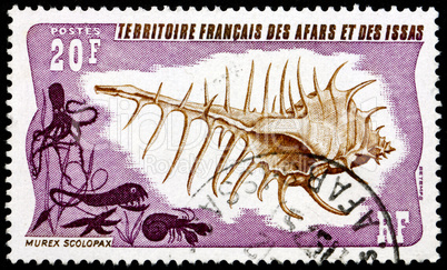 Postage stamp Afars and Issas 1975 False Venus Comb, Sea Snail
