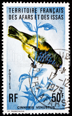 Postage stamp Afars and Issas 1975 Variable Sunbird, Bird