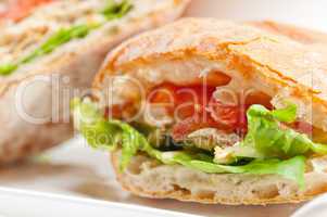 ciabatta panini sandwich with chicken and tomato