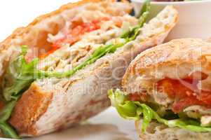 ciabatta panini sandwich with chicken and tomato