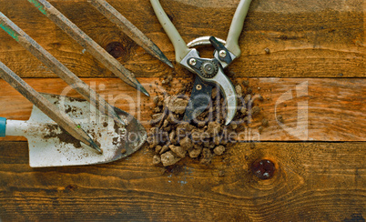 Gardening tools on old wooden table
