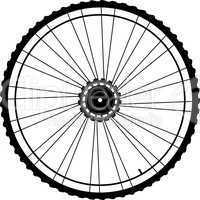 Bicycle wheel isolated on white