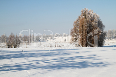 Winter landscape