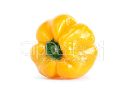 Bell Pepper