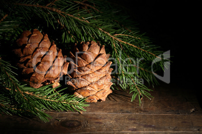 Cedar Cones