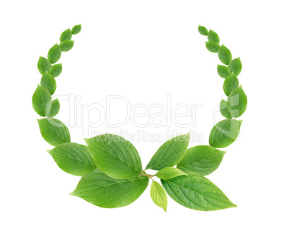 Green Leaves Wreath