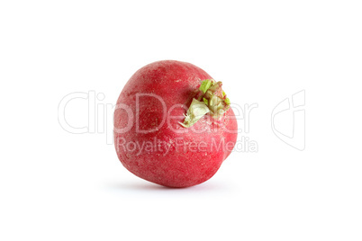 Radish On White