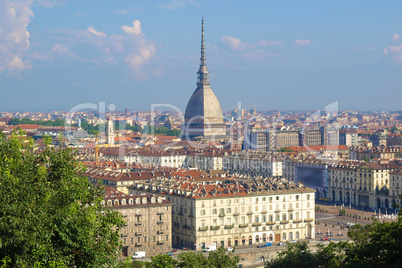 Turin view