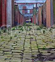 Looking down inner city cobblestone alley