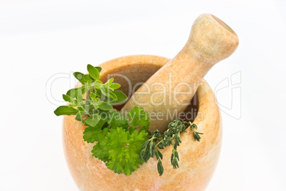 Mörser und Stößel mit Kräutern Mörser und Stößel mit Kräutern