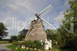 Windmühle Fortuna in Struckum