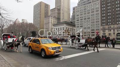 New York Central Park Pferdekutsche