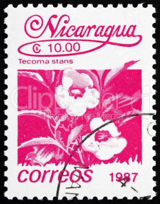 Postage stamp Nicaragua 1987 Tecoma Stans, Vine, Flower