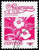 Postage stamp Nicaragua 1987 Tecoma Stans, Vine, Flower