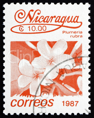 Postage stamp Nicaragua 1987 Plumeria Rubra, Tree, Flower