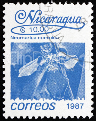 Postage stamp Nicaragua 1987 Walking Iris, Flower