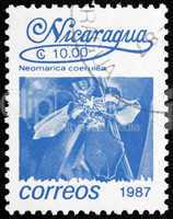 Postage stamp Nicaragua 1987 Walking Iris, Flower