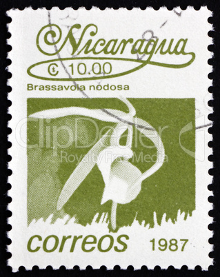 Postage stamp Nicaragua 1987 Lady of the Night Orchid