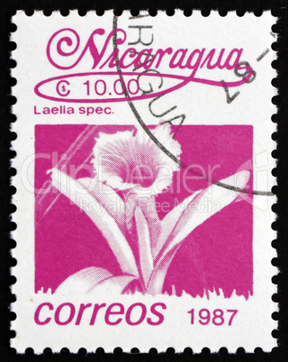 Postage stamp Nicaragua 1987 Mayflower Orchid, Flower