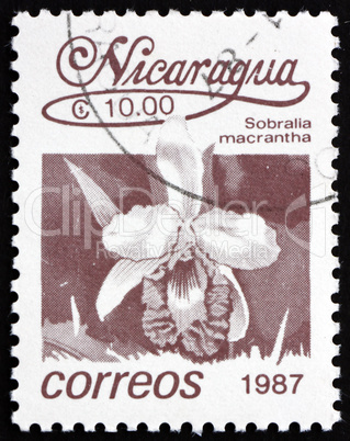Postage stamp Nicaragua 1987 Large-flowered Sobralia, Orchid