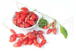 Goji-Beeren (Lycium barbarum)