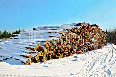 Timber in the snow on a sunny day