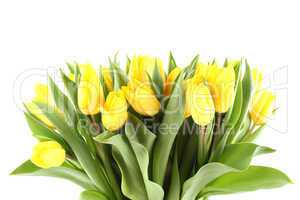 Tulips Bouquet isolated on white