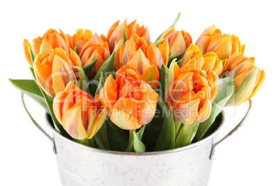 Tulips Bouquet