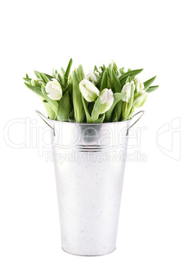 Tulips Bouquet