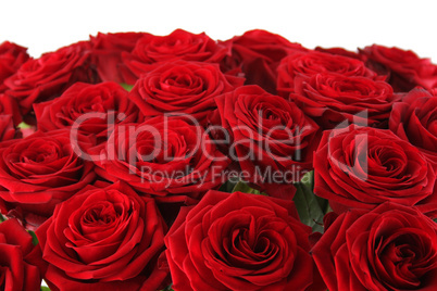 Bouquet of red roses