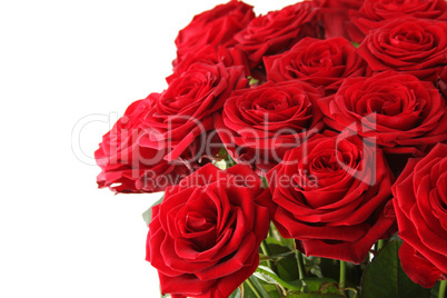 Bouquet of red roses